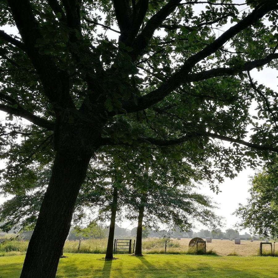 Le Gite Du Fou Logement 8 Pers 13Mn Puy Du Fou Saint-Amand-sur-Sevre 외부 사진